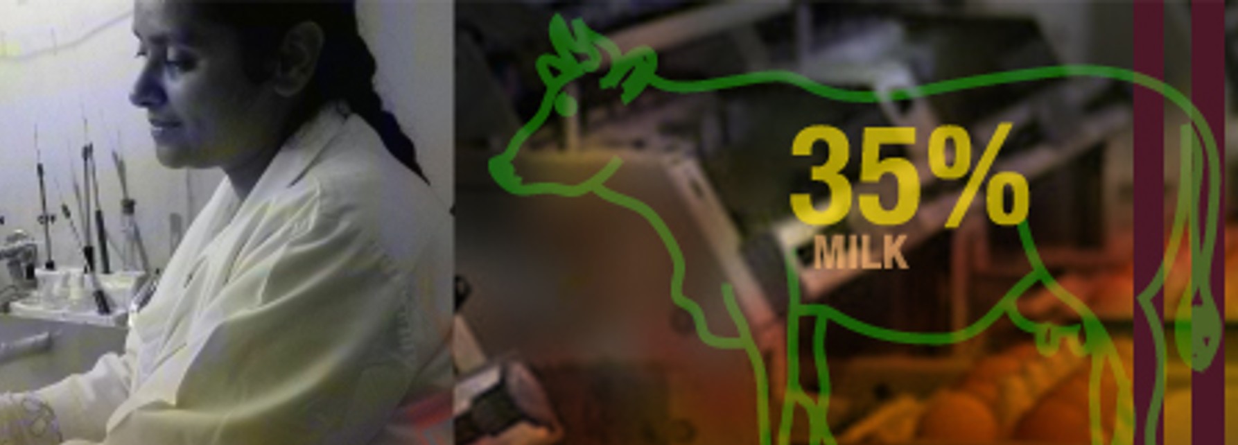 Ministry of Food Processing Industries Internships & Fresher Job