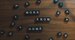 4 Questions You Should Ask When Applying for a WFH Job