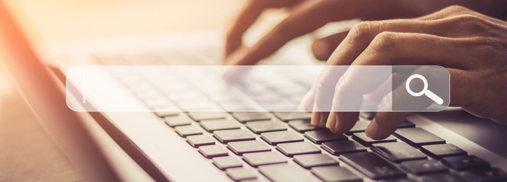 Adding a Job search widget to your website