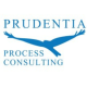 Prudentia Process Consulting