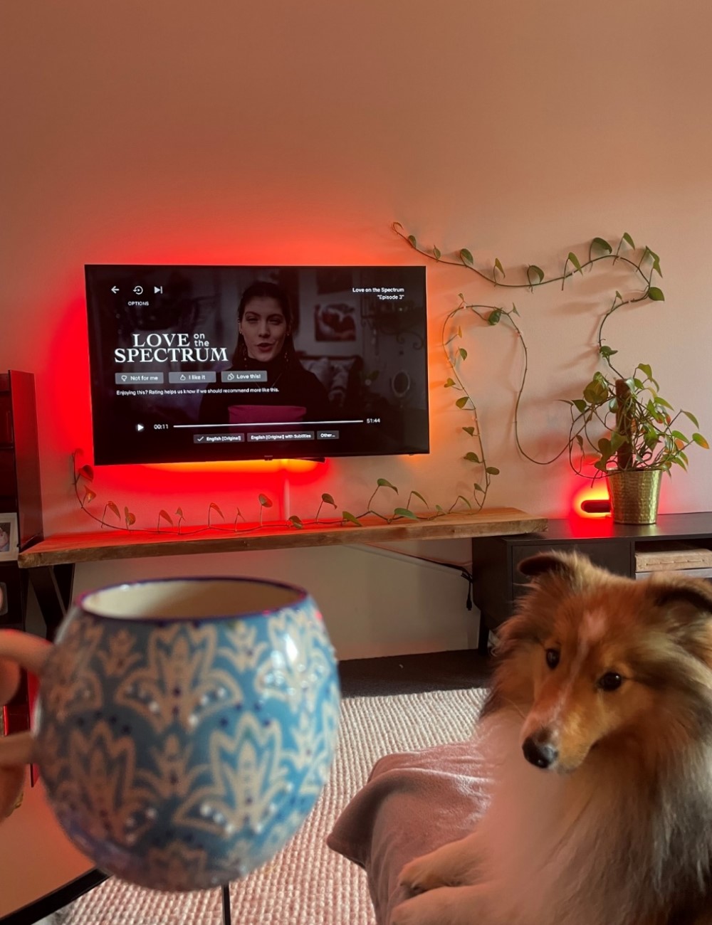 Signfy Graduate - Photo of a professional's home tv and dog