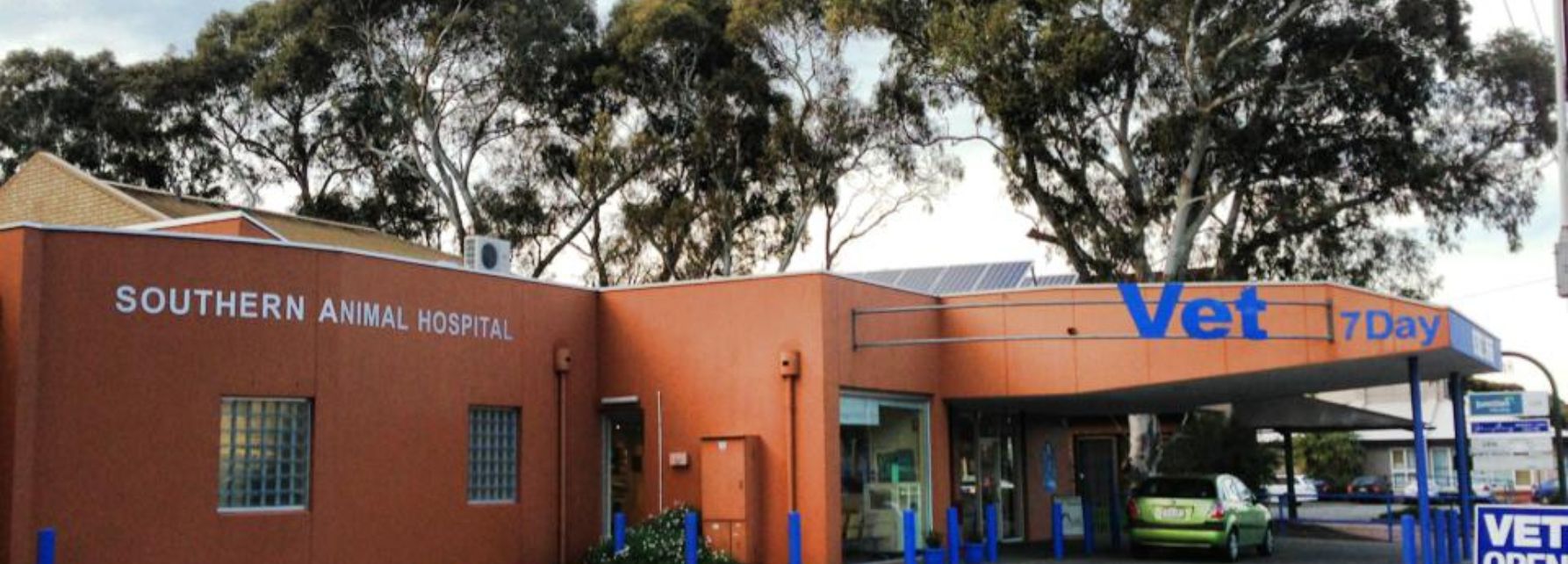 2022 Veterinary Nurse TAFE Students Preferred at Southern Vet Group