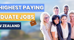 100 Highest-Paying Graduate Jobs in New Zealand [2023]
