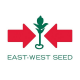 EAST-WEST SEED