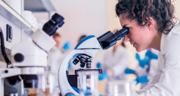 Environmental Engineering Graduate Jobs Gradaustralia