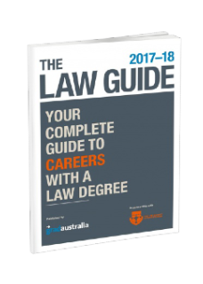 The Law Guide 2017