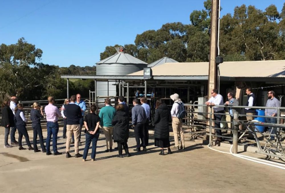 Rural Bank Dean Pickett checking the farm operation