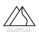 Ace Summit Life Insurance Agency