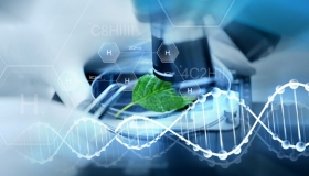 Great science scholarships for postgrads