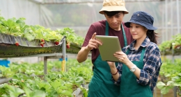 15 Prospek Kerja Lulusan Agribisnis yang Banyak Ditemukan di Indonesia