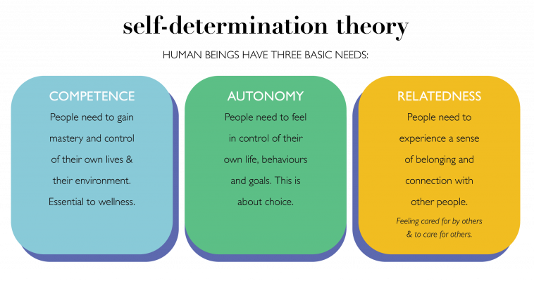 Career Development Theories - Self-Determination Theory