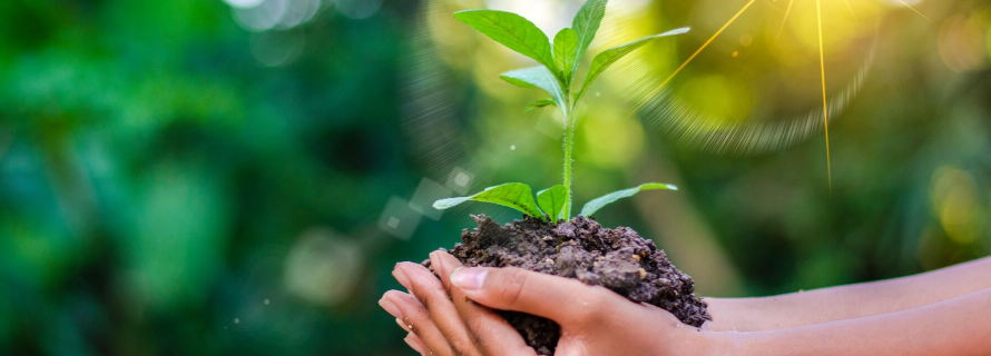 Charity Social Work And Volunteering Careers Advice Gradaustralia