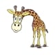 Giraffe Childcare Mosman