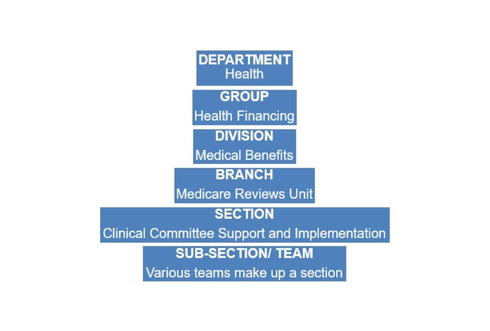 Department of Health Graduate Michelle Ung org chart